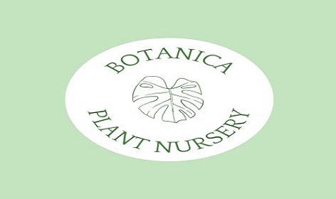 Online Plant Nursery Application